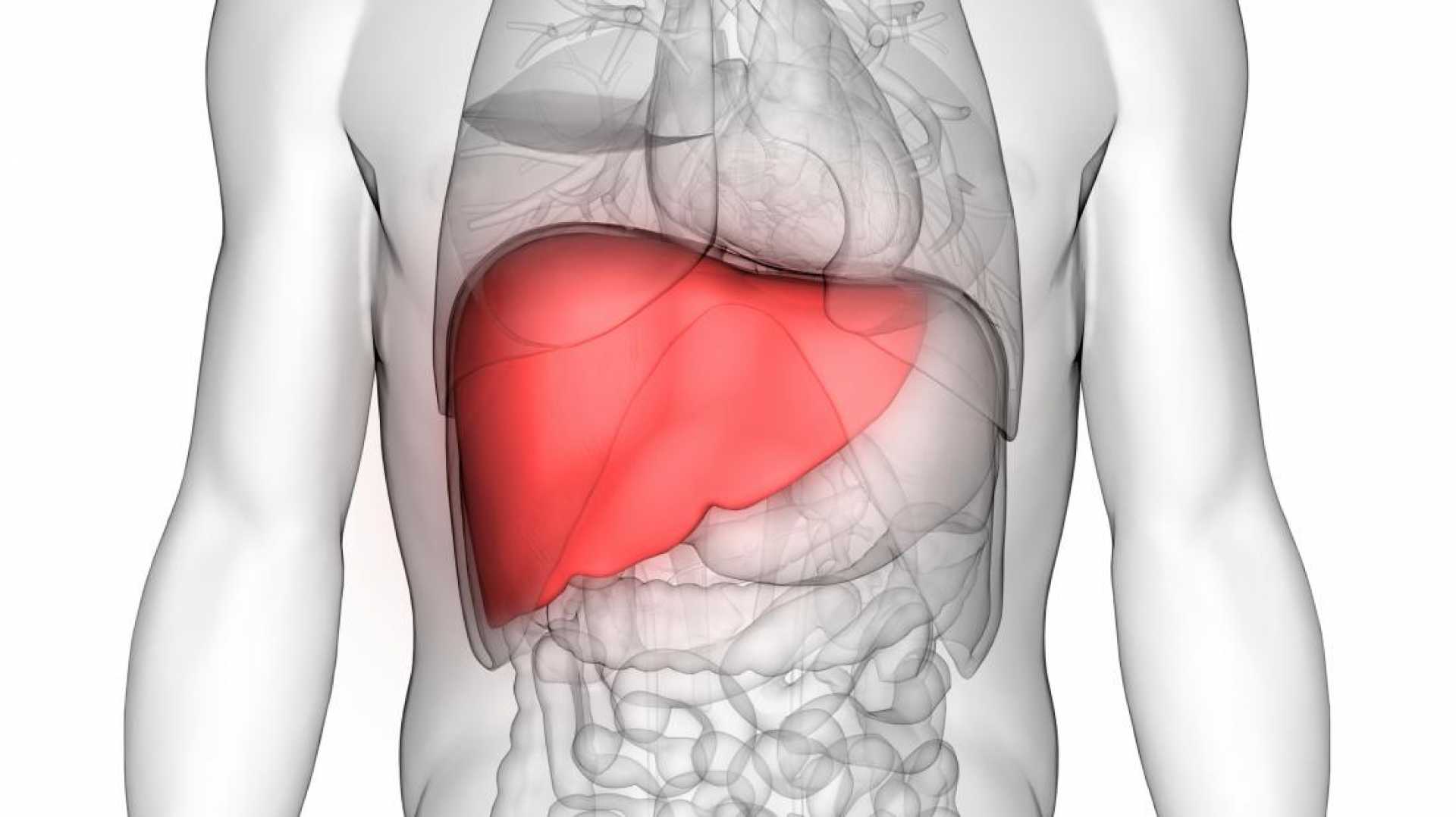 Risks Involved in Liver Transplant