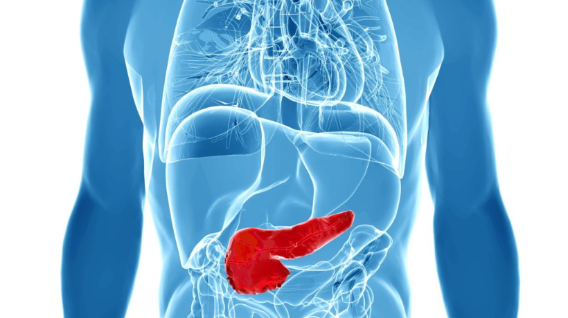 Seven Best Pancreas Transplant Surgery Hospitals in India