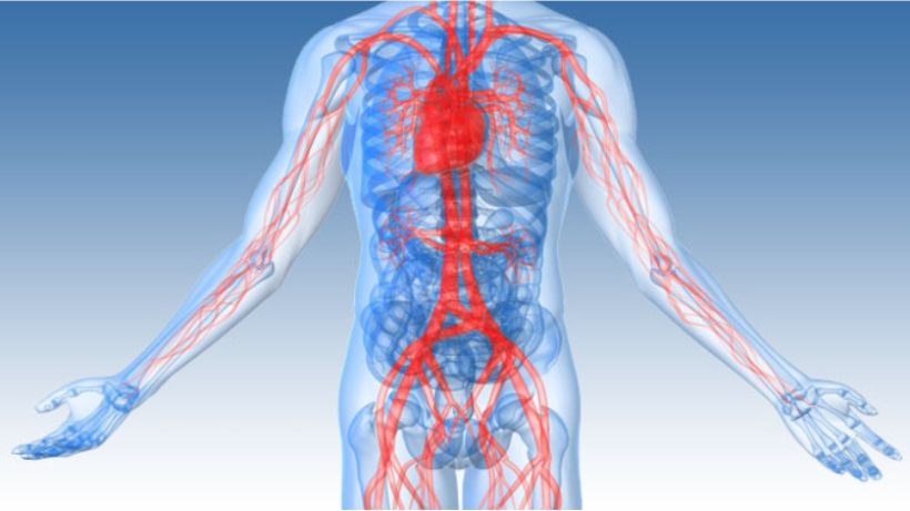 Types of Vascular Surgeries and road to recovery