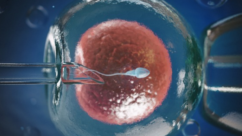 দিল্লিতে IVF- খরচ, পদ্ধতি যা আপনার জানা দরকার