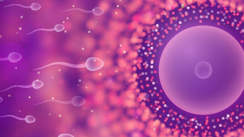 IVF in Singapore: FAQ, Cost All You Need To Know About The Procedure