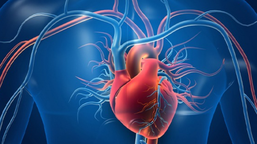 Getting To Know The Various Types Of Heart Disease