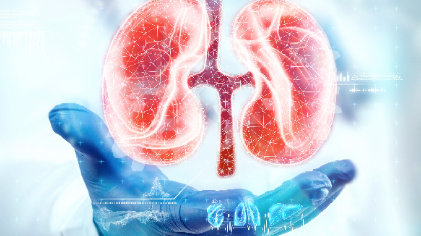 Kidney Transplant Benefits and Disadvantages