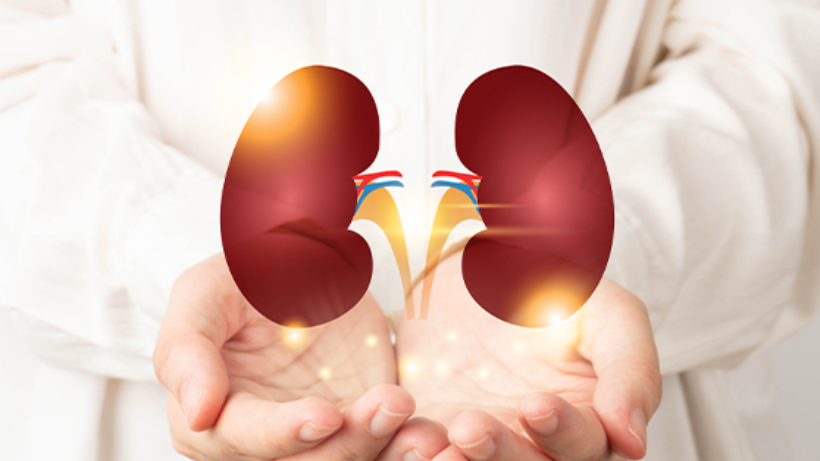 Kidney Transplant Advantages and Disadvantages