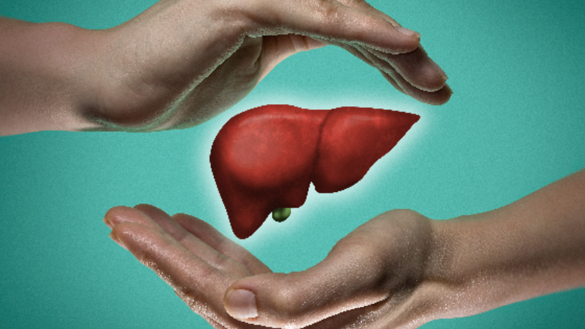 Liver Transplant Surgery - All You Need To Know