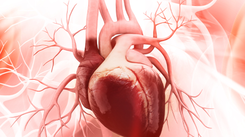 Knowing The Types Of Heart Surgeries