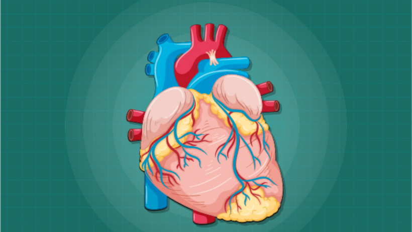 ভারতে Mitral ভালভ প্রতিস্থাপন খরচ