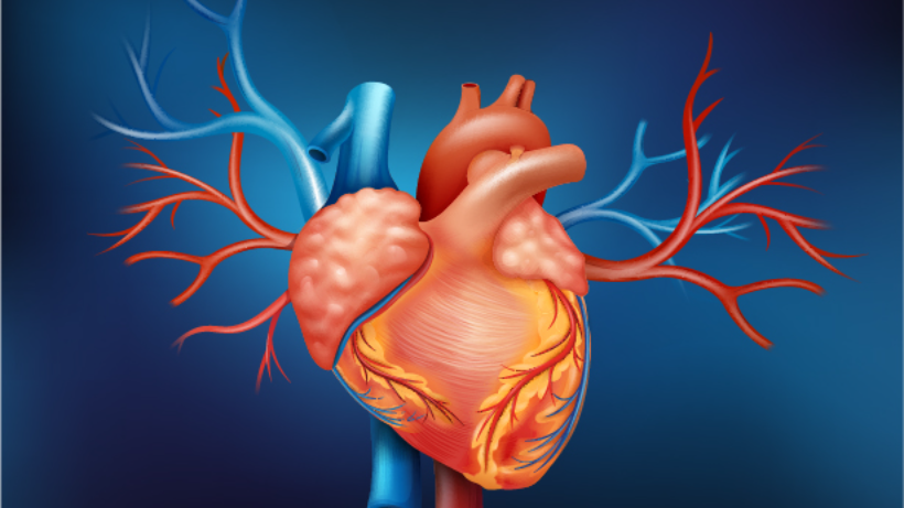 Complications Of Aortic Valve Replacement Surgery