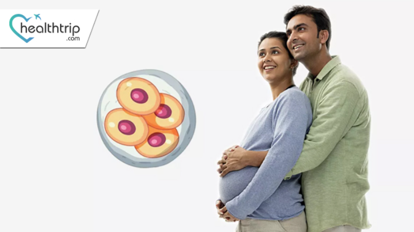 IVF Treatment and Egg Donation
