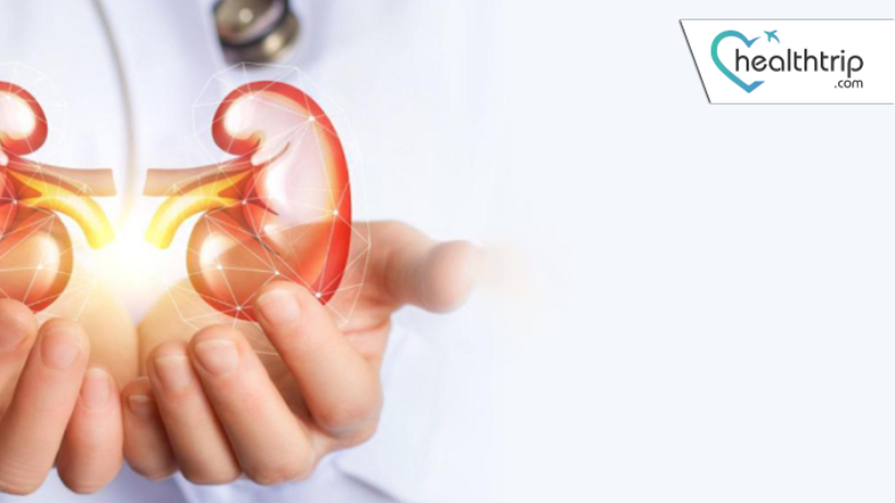 All You Need to Know About Kidney Stones Treatment in India: A Comprehensive Guide