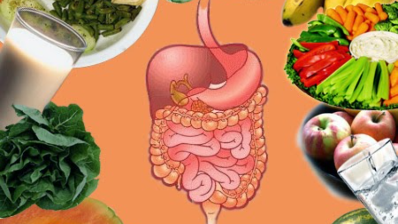 Understanding Digestive Health: A Comprehensive Guide