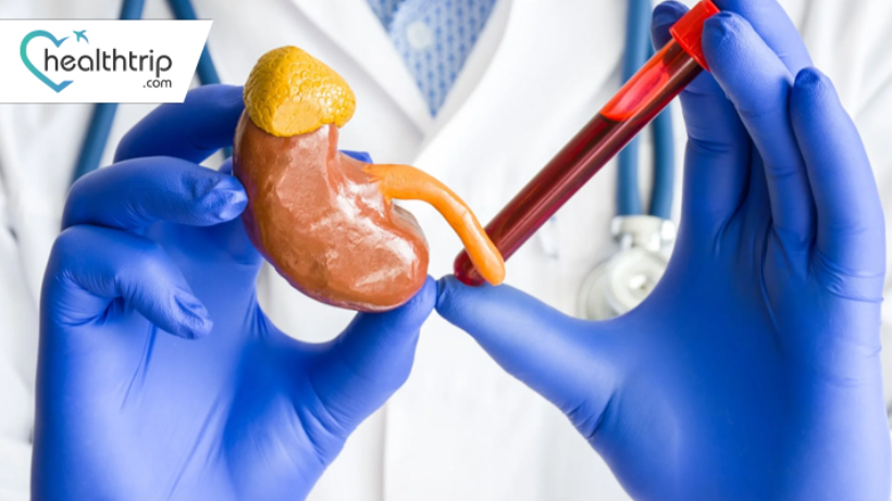 Creatinine Tests Demystified: What to Expect