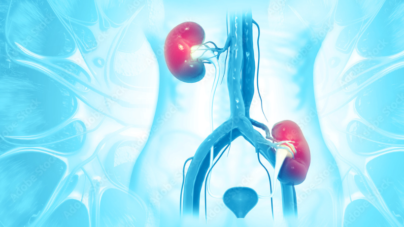 Правильное питание