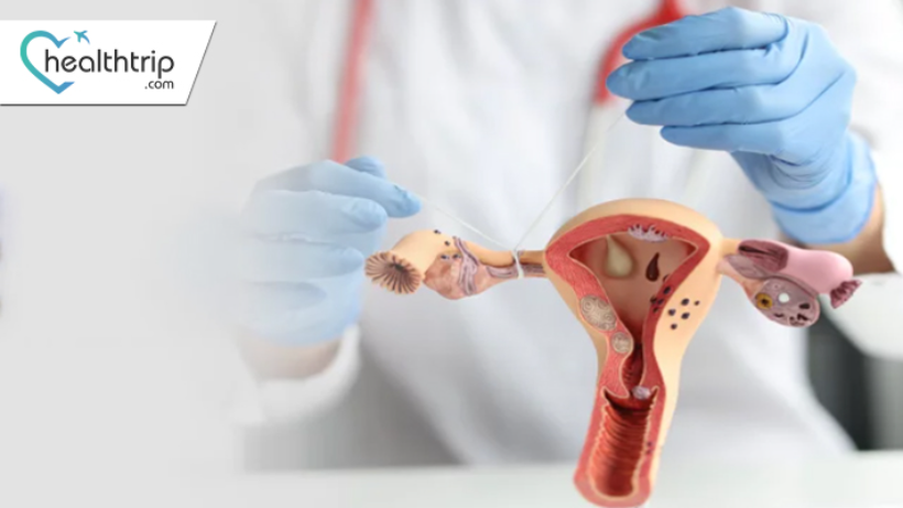 In Vitro Fertilization: Your Answer to Blocked Fallopian Tubes in Thailand
