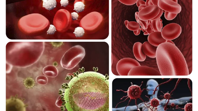 Top Hematologists for Aplastic Anemia Treatment in India