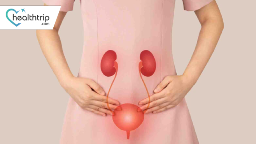 Glomerulonephritis in the UAE: Causes, Symptoms, and Treatment