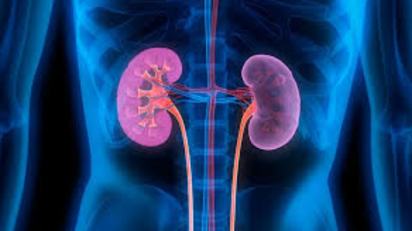 Common Myths and Misconceptions about Kidney Transplants Debunked.