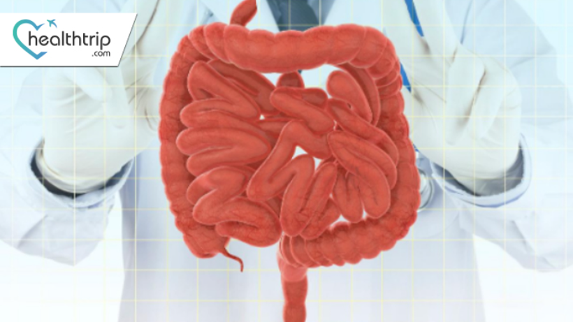 Inside Out: Understanding the Intricacies of Intestine Transplantation