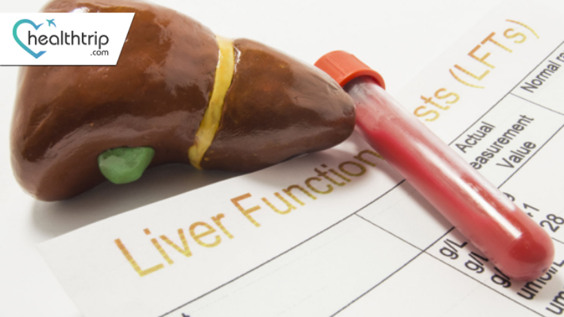 Guide to Liver Function Tests: Everything You Need to Know
