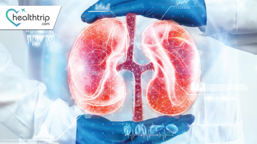 Kidney Transplant: All You Need to Know